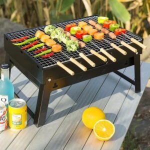Home portable outdoor bbq oven (model: tl 353)